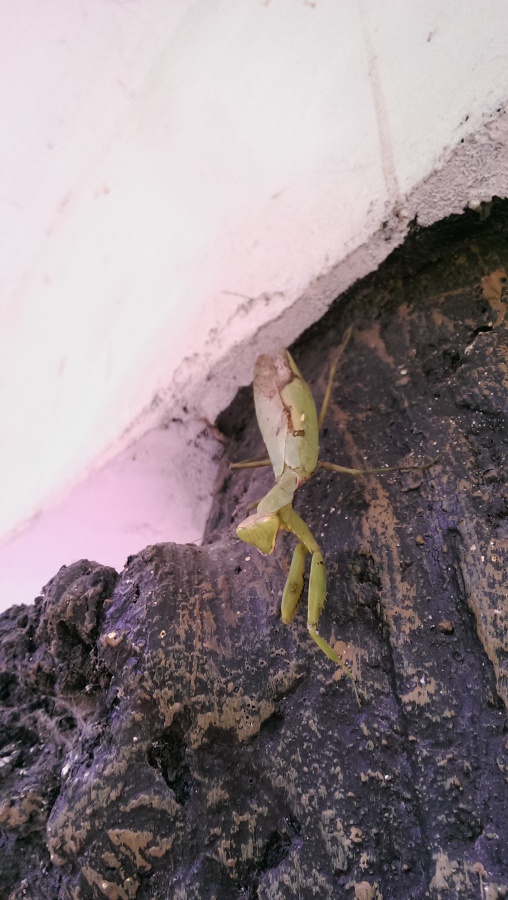 images/forum/2014/2014-09-08 15.51.01.jpg